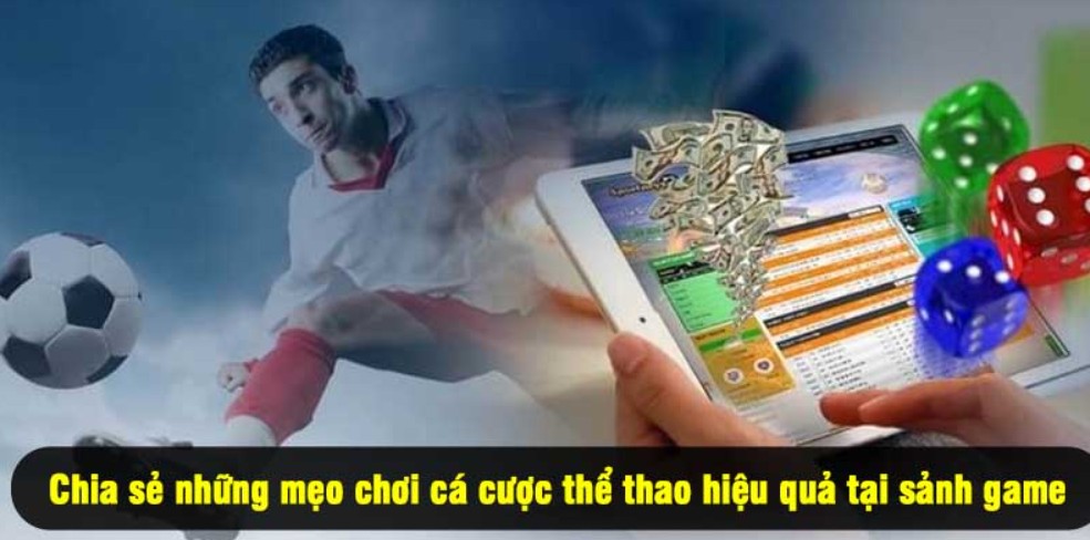 United Gaming 789WIN - Sảnh Cược Thể Thao Đẳng Cấp Nhất Năm Cá độ bóng rổ chuyên nghiệp