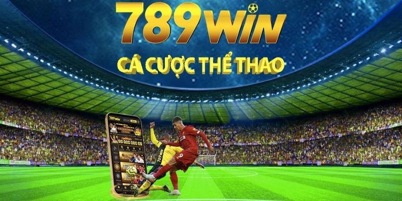 Đối tác thể thao hàng đầu