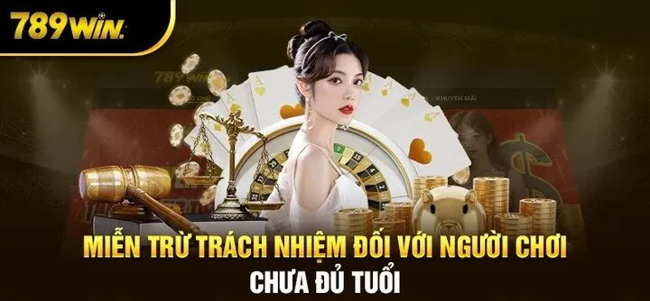 Miễn Trừ Trách Nhiệm 789WIN - Những Quy Định Quan Trọng Người chơi cần có trách nhiệm khi tham gia