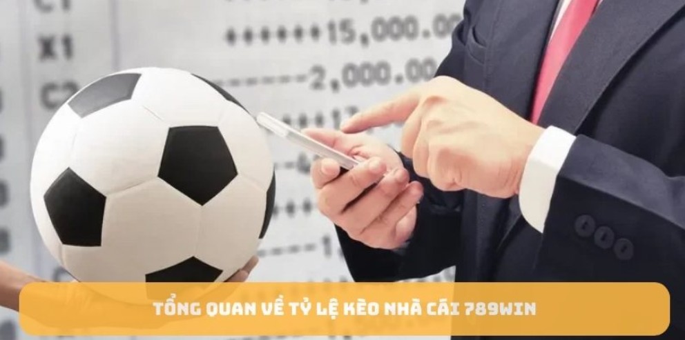 Kèo Nhà Cái 789WIN - Tỷ Lệ Cược Thể Thao Chuyên Nghiệp Những yếu tố cần đặc biệt chú ý