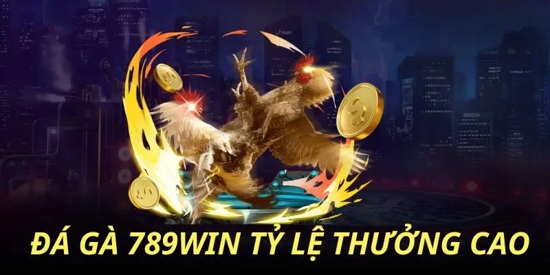 Cách Tập Luyện Cho Gà Chọi - Bí Quyết Huấn Luyện Thần Kê Rèn luyện cho gà một đôi cánh dẻo dai