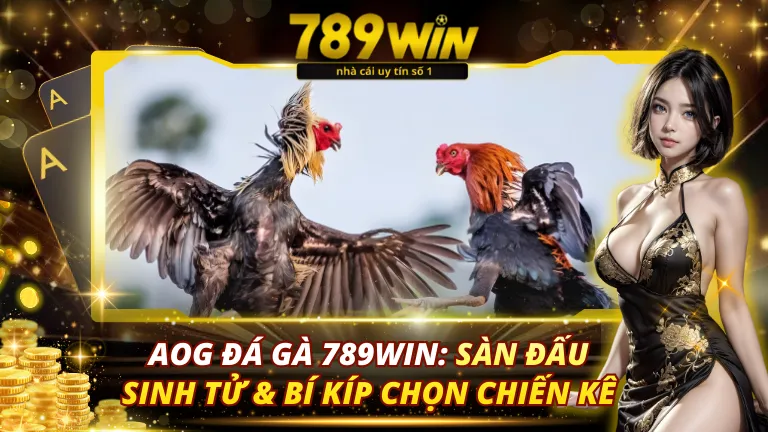 Cách Tập Luyện Cho Gà Chọi - Bí Quyết Huấn Luyện Thần Kê Tìm hiểu về cách tập luyện cho gà chọi