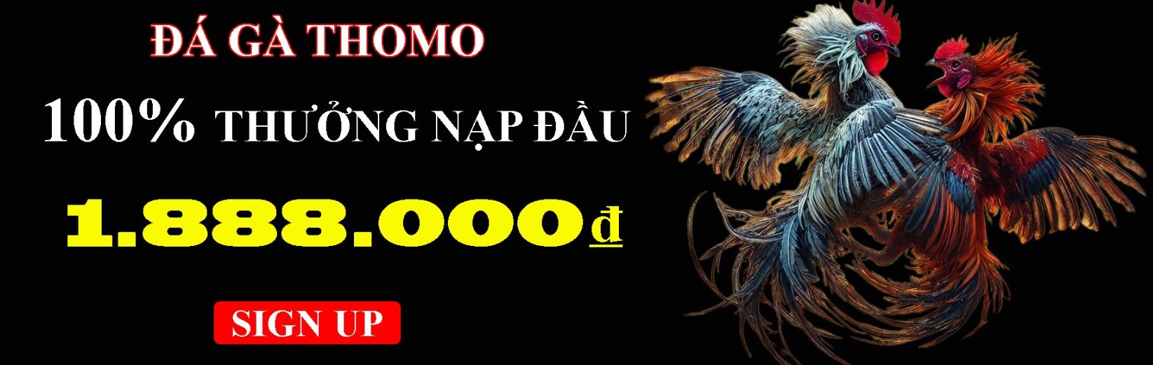 Nạp & Cược Đá Gà Thomo - Quy Trình Đầu Tư An Toàn Nhất Tìm hiểu về nạp & cược đá gà Thomo